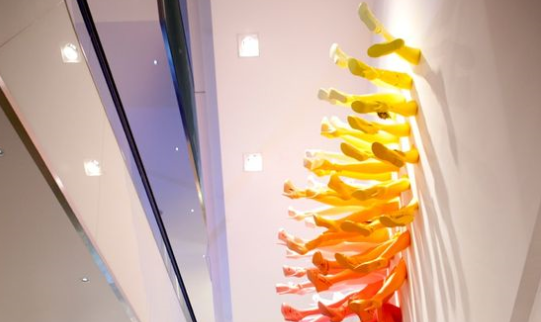 生产制作作品案例展示